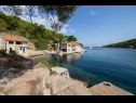 Dom wakacyjny Vinkli - amazing sea view H(8) Zatoka Stoncica (Vis) - Wyspa Vis  - Chorwacja  - plaża