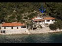 Dom wakacyjny Vinkli - amazing sea view H(8) Zatoka Stoncica (Vis) - Wyspa Vis  - Chorwacja  - dom