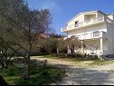 Apartamenty Luce - with parking : A3(4+1), A4(5), A5(4) Nin - Riwiera Zadar  - dom