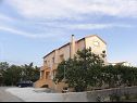 Apartamenty Ivan - 300 m from sea: A3(2), A4(2), SA5(2), A6(2) Nin - Riwiera Zadar  - dom