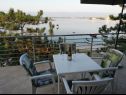 Apartamenty Ljilja - 10m from the sea with parking: A2(2+2), A3(2+2), A4(12) Nin - Riwiera Zadar  - tarasa