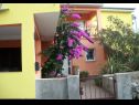 Apartamenty Midi - with two apartments: A1(3), A2(3) Petrcane - Riwiera Zadar  - dom