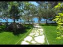 Apartamenty Ivan Z - 10 m from sea: A3(2), A4(2) Seline - Riwiera Zadar  - ogród