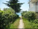 Apartamenty Dream - nearby the sea: A1-small(2), A2-midldle(2), A3-large(4+1) Seline - Riwiera Zadar  - dziedziniec