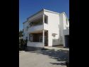 Apartamenty Ante - 200 m from beach: A2(4+2) Starigrad-Paklenica - Riwiera Zadar  - dom