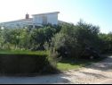 Apartamenty Vera - 150 m from sea: A1(4), SA2(2), SA3(2) Sukosan - Riwiera Zadar  - dom