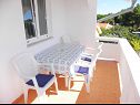 Apartamenty VINK - 80 m from beach A2(4), A3(4), A4(4) Vir - Riwiera Zadar  - Apartament - A4(4): zadaszona tarasa