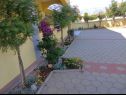 Apartamenty Vanja - terrace & BBQ A1(4+2), A2(4+1) Vir - Riwiera Zadar  - dziedziniec