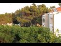 Apartamenty VINK - 80 m from beach A2(4), A3(4), A4(4) Vir - Riwiera Zadar  - Apartament - A4(4): widok (dom i otoczenie)