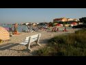 Apartamenty Tihana - 200 m from sea: A1(4+1) Vir - Riwiera Zadar  - plaża