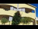 Apartamenty Vanja - terrace & BBQ A1(4+2), A2(4+1) Vir - Riwiera Zadar  - dom