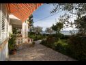 Dom wakacyjny Villa Petar 1 - 10m from sea: H(4) Zadar - Riwiera Zadar  - Chorwacja  - tarasa