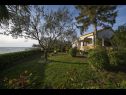 Dom wakacyjny Villa Petar 1 - 10m from sea: H(4) Zadar - Riwiera Zadar  - Chorwacja  - ogród
