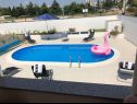 Dom wakacyjny Franny - comfortable: H(6+1) Zadar - Riwiera Zadar  - Chorwacja  - basen (dom i otoczenie)