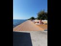 Apartamenty Petin - 5m from the sea: A1(2+2), A2(2+2) Zadar - Riwiera Zadar  - plaża