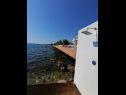 Apartamenty Petin - 5m from the sea: A1(2+2), A2(2+2) Zadar - Riwiera Zadar  - plaża