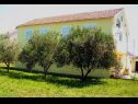 Apartamenty Mir - family apartments with garden terrace A1(4), A2(2) Zaton (Zadar) - Riwiera Zadar  - dom