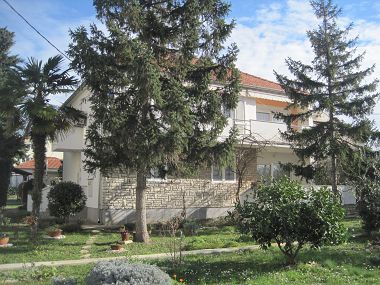 Apartamenty Ivan - with large terrace : A1(5) Zadar - Riwiera Zadar 