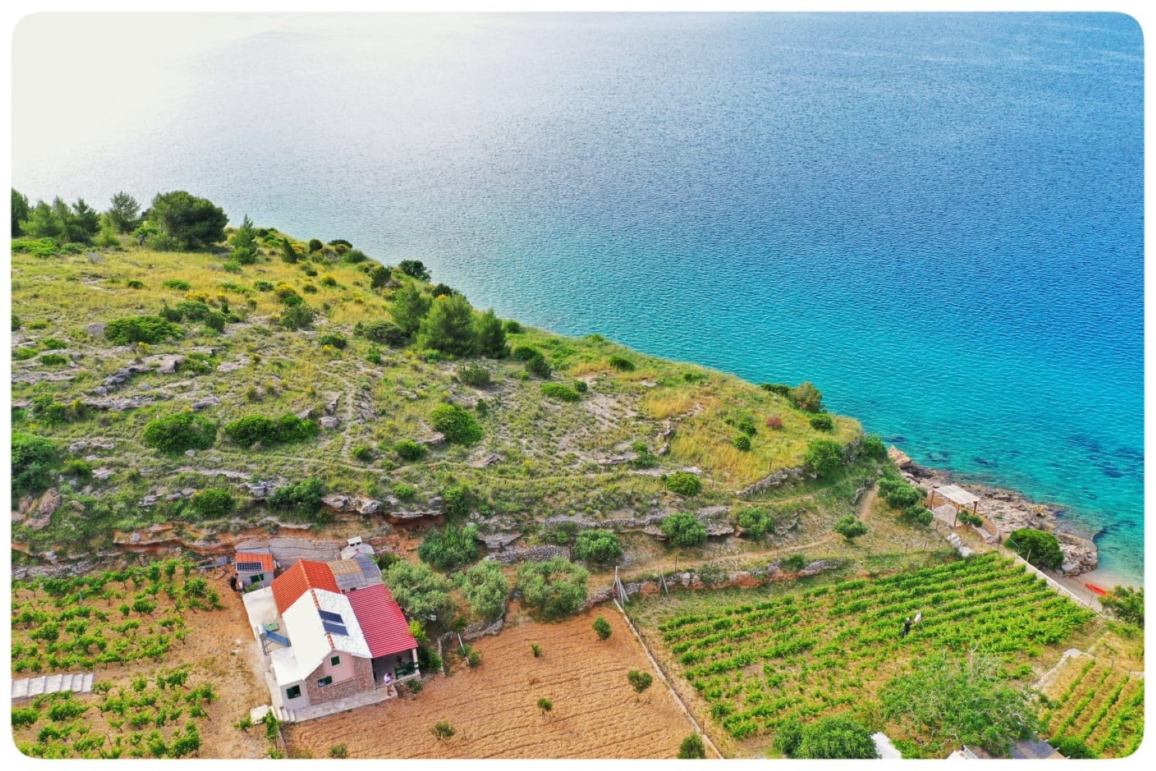 Dom wakacyjny Smokovlje - sea view and vineyard H(4) Bol - Wyspa Brac  - Chorwacja 