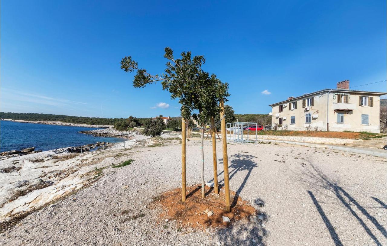 Apartamenty Rajka - 20 m from beach: Rajka(4) Koromacno - Istria 