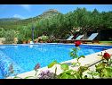 Dom wakacyjny Vojo - private swimming pool: H(4) Bol - Wyspa Brac  - Chorwacja  - dom