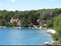 Apartamenty Simi- peacefull and seaview A1(4+1) Zatoka Osibova (Milna) - Wyspa Brac  - Chorwacja  - plaża