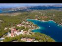 Apartamenty Dalis - open swimming pool: A1 kat(4+1), A2 prizemlje(4) Zatoka Osibova (Milna) - Wyspa Brac  - Chorwacja  - roślinność (dom i otoczenie)