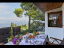 Dom wakacyjny Viki - sea view terrace: H(4+1) Postira - Wyspa Brac  - Chorwacja  - tarasa