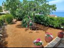 Dom wakacyjny Lumos - panoramic view & olive garden: H(10) Postira - Wyspa Brac  - Chorwacja  - ogród