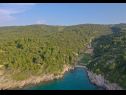 Dom wakacyjny Irena - secluded paradise; H(4+1) Zatoka Prapatna (Pucisca) - Wyspa Brac  - Chorwacja  - roślinność
