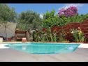 Dom wakacyjny Silvia - open pool: H(10) Supetar - Wyspa Brac  - Chorwacja  - basen
