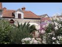 Dom wakacyjny Davor - relaxing and great location house : H(7+2) Sutivan - Wyspa Brac  - Chorwacja  - dom