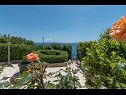 Apartamenty Daniela - terrace with amazing sea view A1(6) Okrug Gornji - Wyspa Ciovo  - dziedziniec