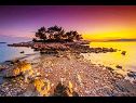 Dom wakacyjny Zdravko - sea view & peaceful nature: H(10+3) Brsecine - Riwiera Dubrownik  - Chorwacja  - plaża