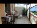 Apartamenty Ralje - 100m from the sea & free parking: A1(2+1), A2(2+1) Sali - Wyspa Dugi otok  - Apartament - A2(2+1): tarasa