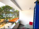 Apartamenty Goran - 30m close to the beach: A1(2+2) Verunic - Wyspa Dugi otok  - Apartament - A1(2+2): tarasa