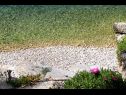 Apartamenty SeSea View - 7 m from beach: A1(5+1) Zatoka Zarace (Gdinj) - Wyspa Hvar  - Chorwacja  - plaża