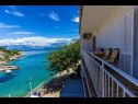 Apartamenty SeSea View - 7 m from beach: A1(5+1) Zatoka Zarace (Gdinj) - Wyspa Hvar  - Chorwacja  - Apartament - A1(5+1): widok na morze (dom i otoczenie)