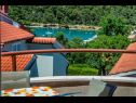 Apartamenty Mondina - sea view and garden : A1(4), A2(3+1), SA3(2) Banjole - Istria  - Apartament - A1(4): widok z tarase