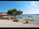 Apartamenty Ljilja - nice garden: A1(4) Fazana - Istria  - plaża