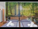 Dom wakacyjny LariF - luxury in nature: H(10+2) Nedescina - Istria  - Chorwacja  - H(10+2): sypialnia