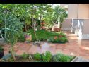 Apartamenty Leonard - green garden: A1 Leonard(2+1), A2 Marin(2+1), A3 Vera(2+1) Porec - Istria  - ogród