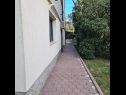 Apartamenty Ena - with free private parking: A1 Anthea (2+2), A2 Floki (2+2) Rovinj - Istria  - ogród