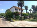 Apartamenty Eli - 50m from the sea: A3(4) Umag - Istria  - dom