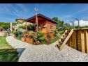Dom wakacyjny Barbara - perfect holiday: H(5) Umag - Istria  - Chorwacja  - dziedziniec (dom i otoczenie)