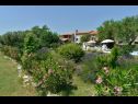 Dom wakacyjny Gurianum - with pool: H(8) Vodnjan - Istria  - Chorwacja  - cvjetni nasad (dom i otoczenie)