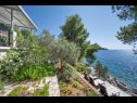 Dom wakacyjny Momento - peaceful resort : H(10) Blato - Wyspa Korcula  - Chorwacja  - widok