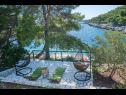 Dom wakacyjny Momento - peaceful resort : H(10) Blato - Wyspa Korcula  - Chorwacja  - tarasa w ogrodzie