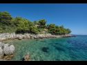 Dom wakacyjny Momento - peaceful resort : H(10) Blato - Wyspa Korcula  - Chorwacja  - dom