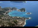 Dom wakacyjny Gradina 1 - private pool: H(10+2) Zatoka Gradina (Vela Luka) - Wyspa Korcula  - Chorwacja  - roślinność (dom i otoczenie)